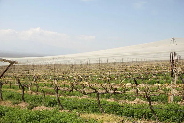 Orman ve tarım alanında düzenleme: Yasa teklifi TBMM Genel Kurulu’nda onaylandı