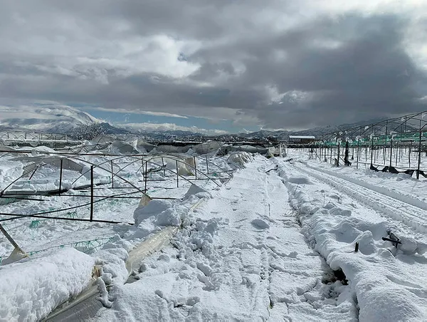 isparta-okullar-ne-zaman-acilacak-ispartada-okullar-kac-gun-tatil-1644226162720.jpg Isparta okullar ne zaman açılacak? Isparta’da okullar kaç gün tatil? - 3