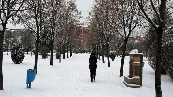 İstanbul beyaza bürünüyor ❄️Meteoroloji'den 61 ile yoğun kar yağışı uyarısı ⛄ Hangi illere kar yağacak? - 8