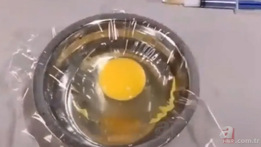 İşte civcivin yumurta içindeki gelişimi 🐣 İğne ile enjekte etti gün gün görüntüledi 🥚 13