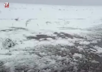 Ardahan Posof'ta kar yağışı