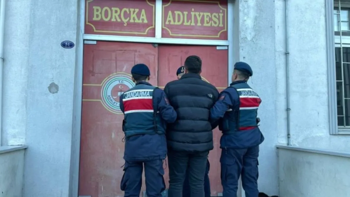 Artvin'de kooperatif başkanı kaçak ağaç kesmekten gözaltına alındı!