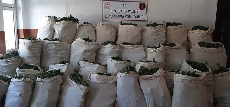 Son dakika: Diyarbakır'da narko teröre darbe