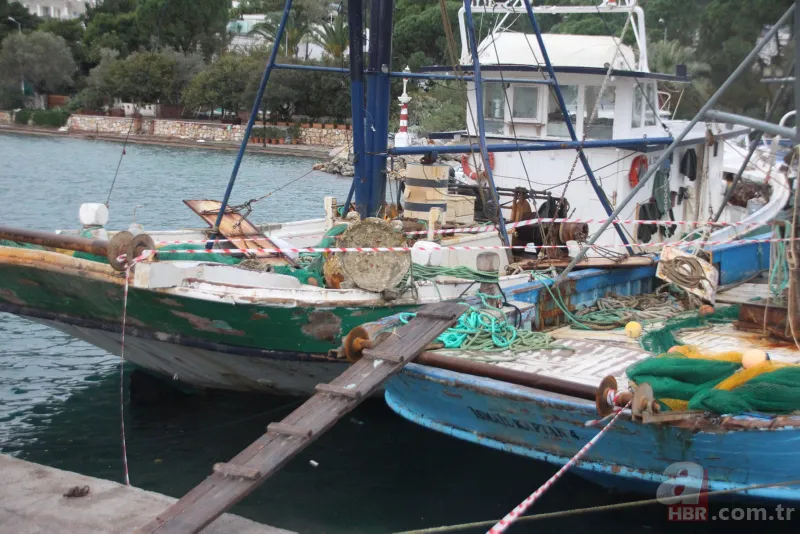 Bir balıkçı barajda yakaladı! Görenler şaşkına döndü! Acipenseridae familyasından 6