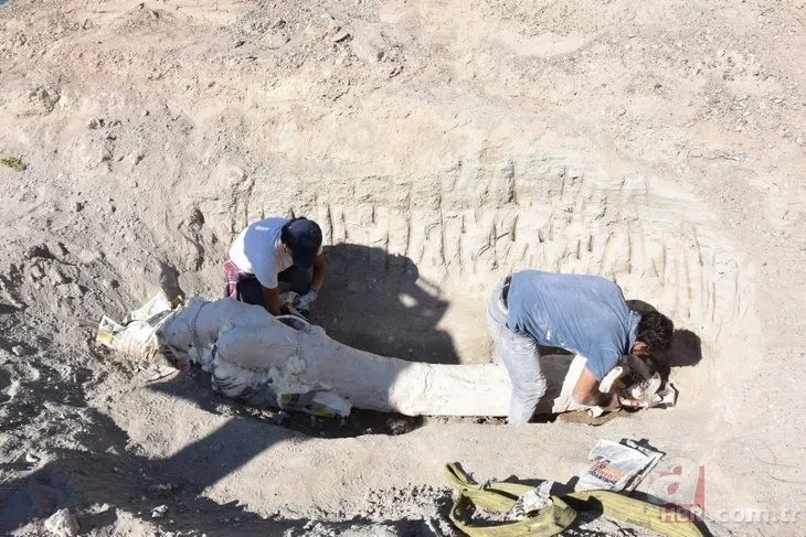 Kayseri’de çoban buldu! 7,5 milyon yaşında