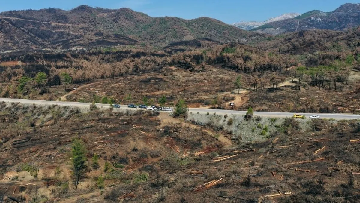 Köyceğiz'de çıkan orman yangının ardından ağaçlandırma çalışması başlatıldı