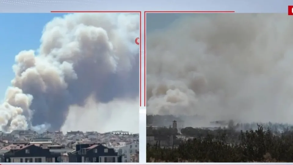 Kepez’de orman yangını