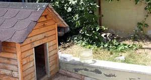 Daire 16’nın zaferi! Köpük yerinde kalacak