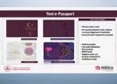 Yerli pasaport tanıtıldı
