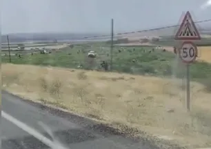 Tarlasında karşılaştığı manzara hayrete düşürdü!