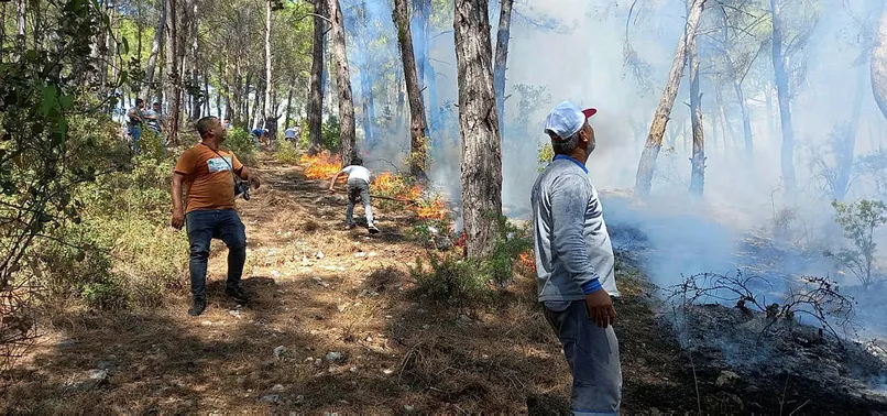 Antalya'da orman yangını! Ekipler olay yerinde