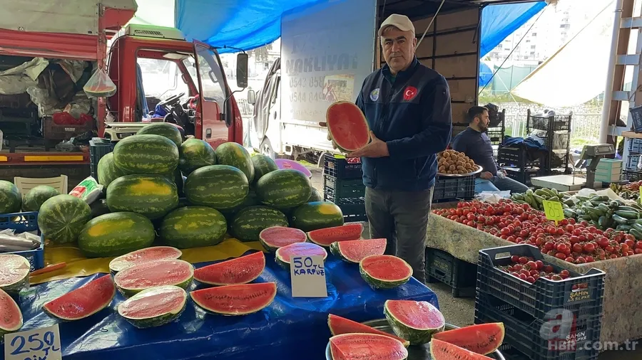 Karpuz dilim dilim satışa çıktı: Kilosu 50 lira 3