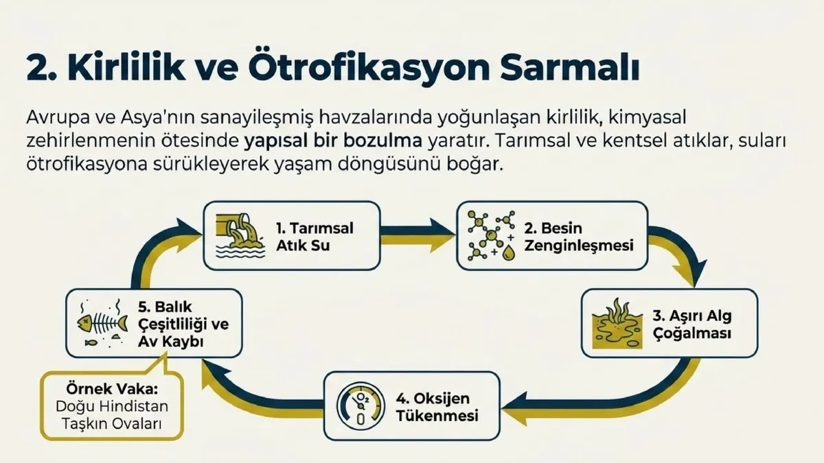 fao-raporu-uyardi-iklim-degisikligi-ve-kirlilik-dunya-balikciligini-tehdit-ediyor-1782816195046.jpg Tarımsal ve kentsel kaynaklı kirlilik, tatlı sularda balık türlerinin yaşam alanlarını daraltıyor. (Görsel: A Haber)