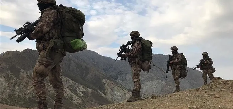 Bitlis'te 3 terörist etkisiz hale getirildi