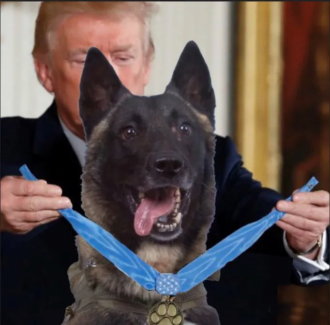 ABD'nin gündemine oturdu! Trump'tan montajlı paylaşım - 2