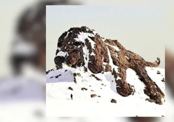 Kişilik testi: İlk dağ mı yoksa köpek mi gördünüz? Bilinçaltınızın gizli sırlarını öğrenin!