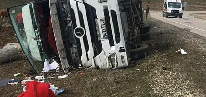 Kars’ta büyükbaş hayvan taşıyan TIR kaza yaptı