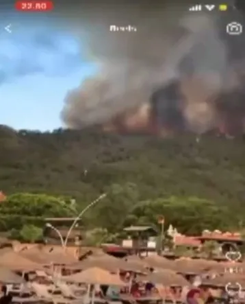 yanginlar-sabotaj-mi-pkk-neden-ormanlari-hedef-aliyor-1627627528118.jpg Yangınlar sabotaj mı? PKK neden ormanları hedef alıyor? - 3