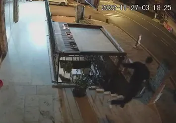 İstanbul’da köpeği boğarak öldürmeye çalıştı! Saldırganın ifadesi 'pes' dedirtti