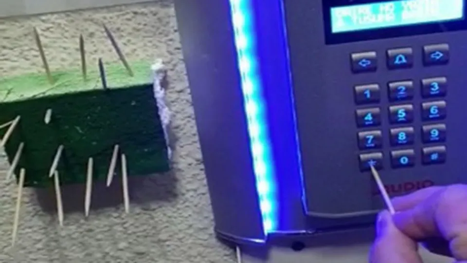 Koronavirüse kürdanla savaş açtı |Video