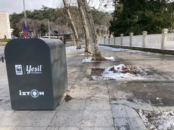 Çırağan'daki ağaç katliamının arkasında ne var? İBB İstanbul'un tarihi simgesine hançer sapladı