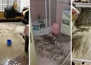 CHP’li Yavaş yine ortadan kayboldu!