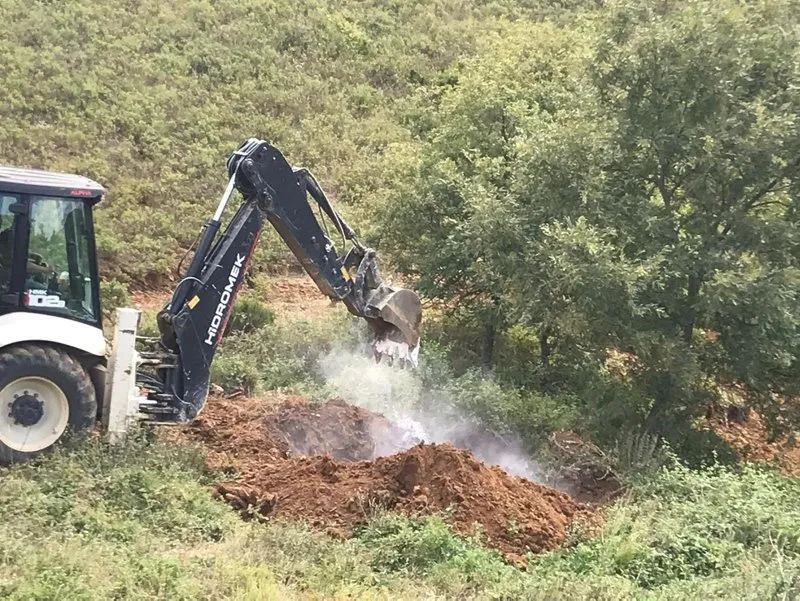 Iznik Te 6 Bin Tavuk Olusu Bulundu