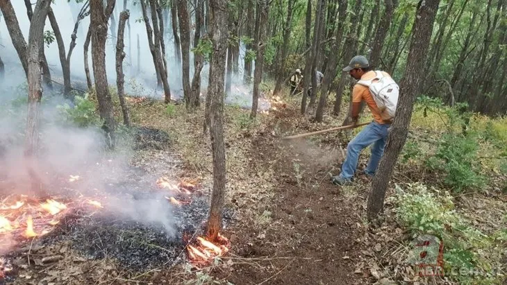 6 ildeki orman yangınlarında son durum