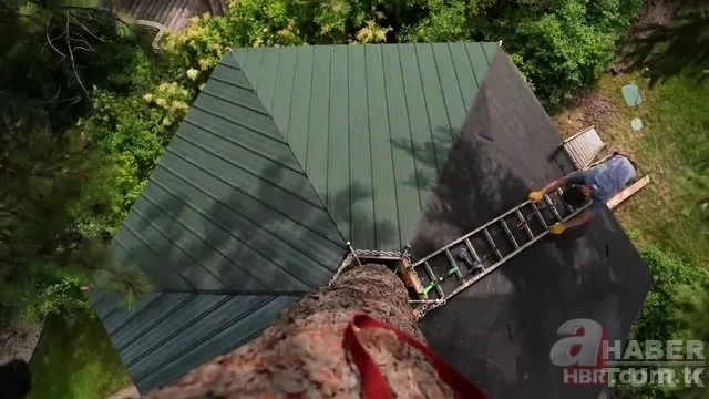 İngiliz mimar tavuk çiftliğini otele çevirdi 22