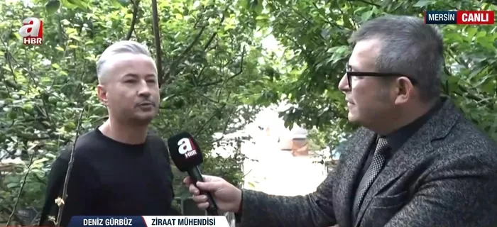 1771746818653.jpeg Bir kilosu çeyrek altın değerinde! Toros Dağları'ndan seraya yolculuk - 3