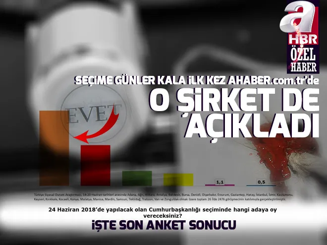 Seçim öncesi son anket ahaberde! İşte OPTİMAR son seçim anketi sonuçları
