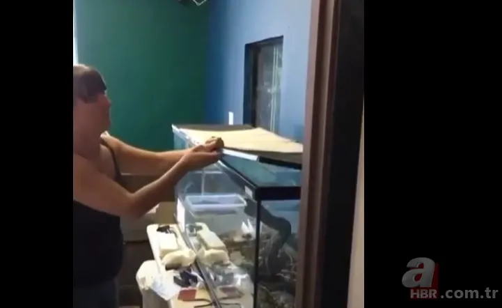 Her şey bir anda oldu! Dev piton yılanı bakıcısına böyle saldırdı 1
