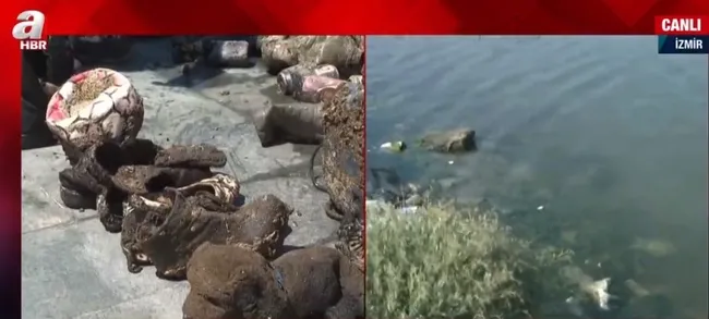 İzmir Körfezi’ni müsilaj değil kirlilik vurdu! İzmir Körfezi’nin kaderi değişecek mi?