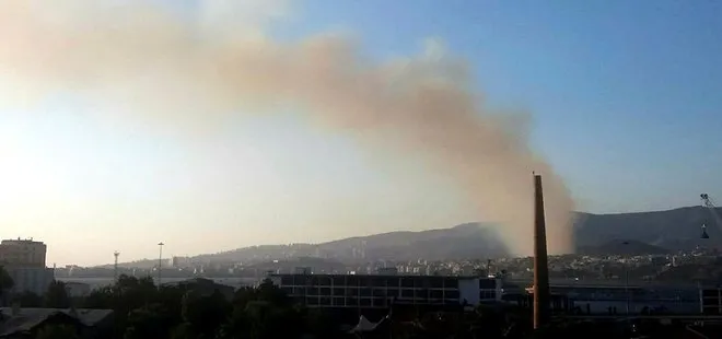 İzmir’de orman yangını: Çok sayıda ekip yangın bölgesinde