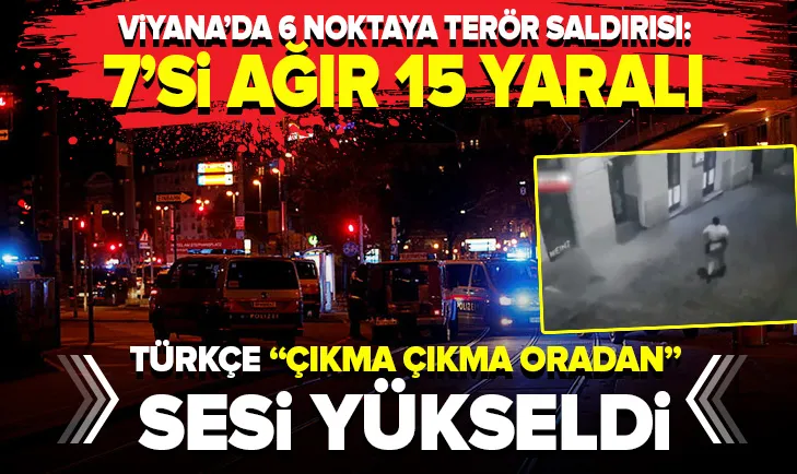 Viyana’da 6 farklı noktaya terör saldırısı