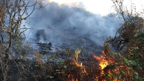 Son dakika: Rize'de 2 ayrı bölgede orman yangını - 2