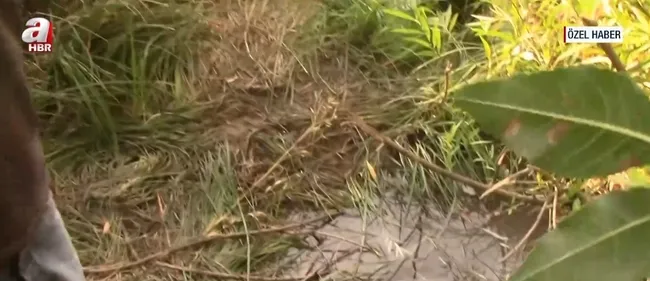 narin-davasi-adalet-bakani-yilmaz-tunctan-a-habere-aciklama-gerekceli-karar-aciklanacak-1735973468029.jpg Cezaların sebebi daha net anlaşılacak! (Ekran görüntüsü / A Haber)