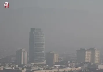 Bursa'da yoğun sis etkili oldu