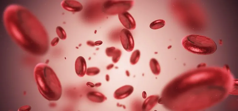 hiv virusu nedir ne demek nasil bulasir