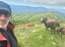 700 kiloluk boğası metrelerce savurdu, gözünü hastanede açtı
