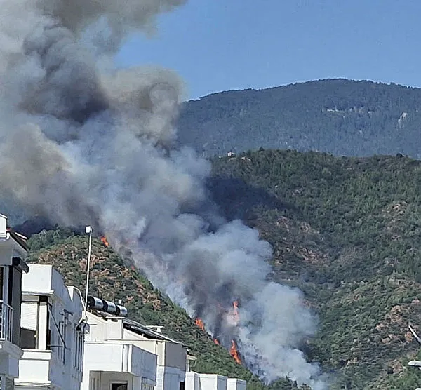 Marmaris'teki orman yangınında dehşete düşüren gelişme: Ateşe verilen ceset nedeniyle çıktı - 1