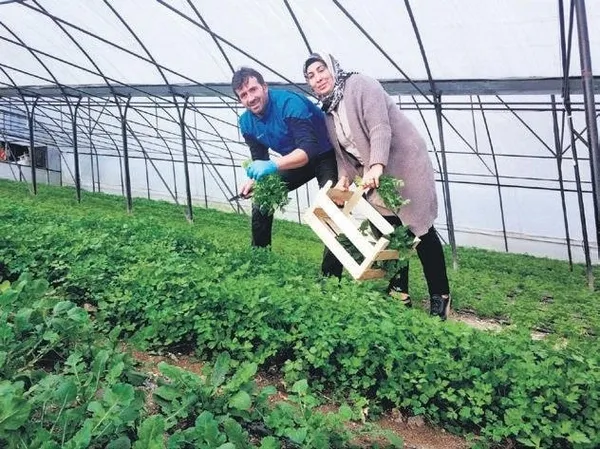İş kurmak isteyenlere cazip fırsatlar! Esnaftan çiftçiye, köylüden kadınlara... Devletin desteğinden kimler nasıl yararlanabilir?