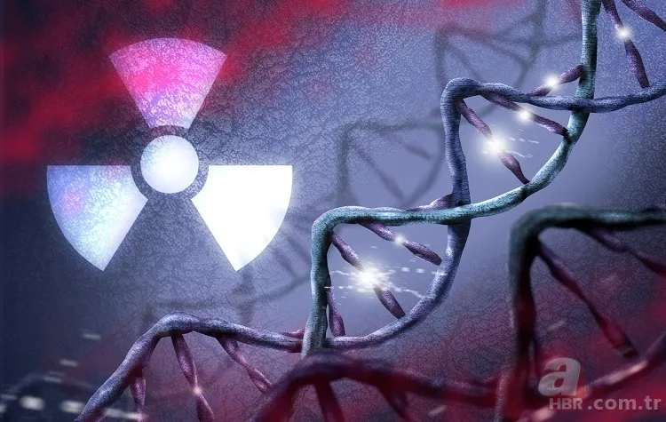 Dünyanın en tehlikeli akıllı telefon modelleri: Beyin tümörü riskinden kısırlığa, kalıcı işitme kaybından kan hücrelerinde bozulmaya kadar birçok zararı var 5