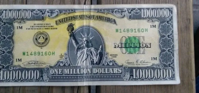 Türkiye'de 1 milyon dolarlık banknot yakalandı