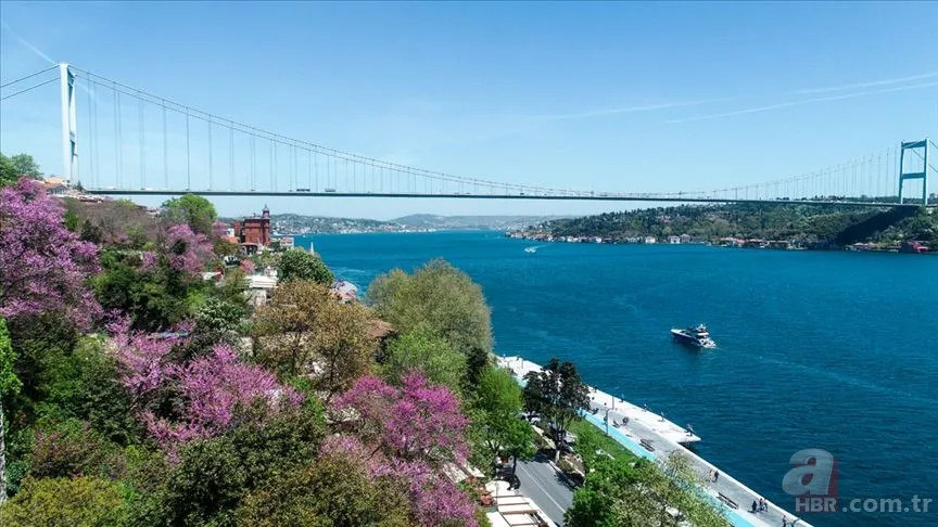 İstanbul'da depreme dayanıklı ilçeler hangisi? İşte İstanbul risk haritası… 23