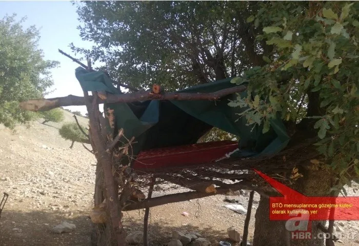 Diyarbakır’da PKK’lı teröristler ağaçta brandayla gözetleme kulesi yapmış
