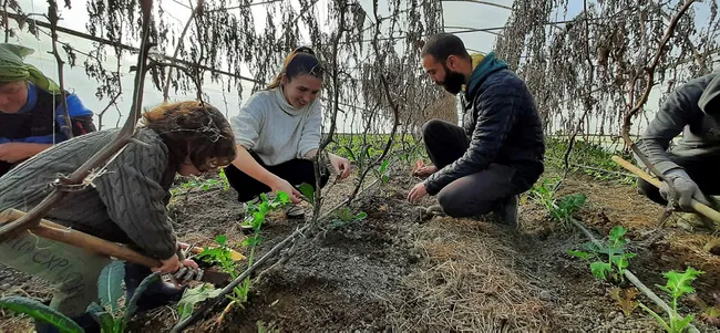 Şehir hayatından sıkılan çift köye yerleşti! Ürünlerini tüm Türkiye’ye gönderiyorlar - 4