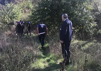İstanbul'da boz ayı alarmı! Havadan drone destekli arama yapıldı