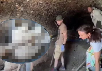 Kanalizasyondan çıkan hayrete düşürdü