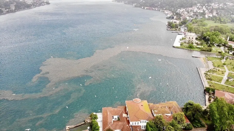 Suyun rengi değişti! İstanbul Boğazı çamura bulandı